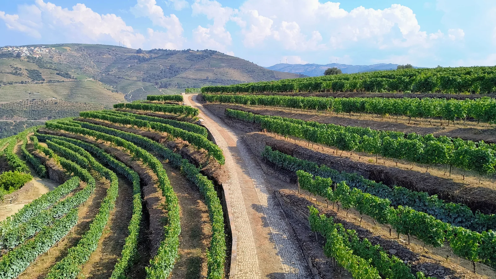Douro – Quinta da Formigosa